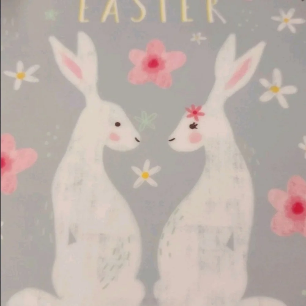 x6 Happy Easter Cherry Blossom Bunny Rabbit Couple Melamine Dinner Plate Set New